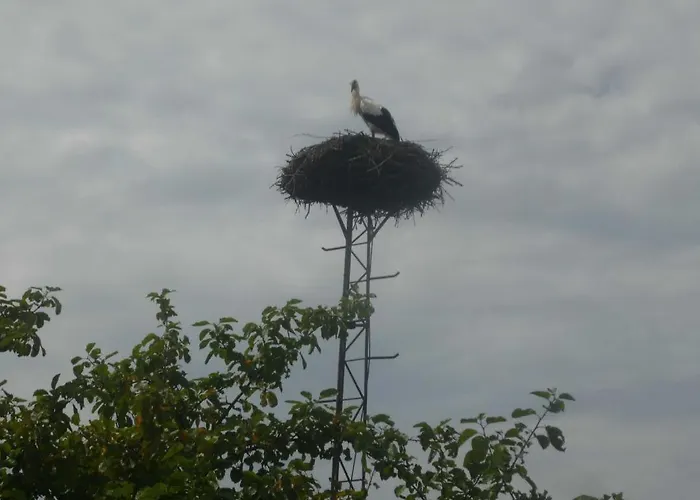 Neu Storchennest Og アパート Kramerhof